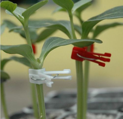 Gardening Supplies: 500 Flat Grafting Clips for Vegetables, Flowers, and Vines.