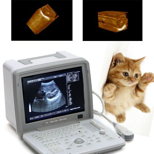 3D Portable Digital Ultrasound Scanner for Veterinary use - Micro Convex Model