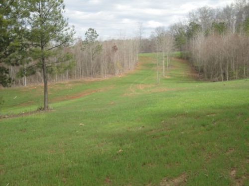 Hunting Land Tract of Over 100 Acres in Talbot County, GA