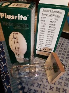 Light bulb from Plusrite